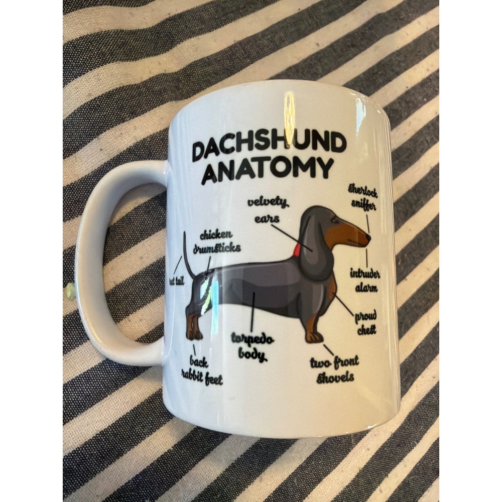 Orca Coatings Dachshund Anatomy Coffee Mug White Ceramic Wiener Dog Humor Cup